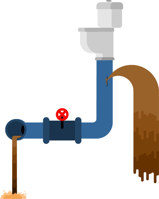 Reasons Older Homes Need Prompt Sewer Inspections