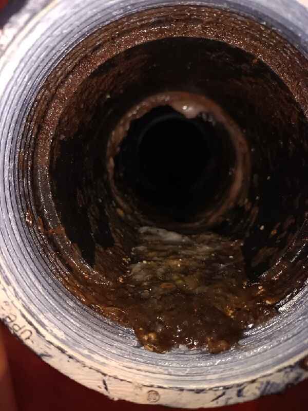 kitchen drain clog